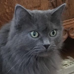 Meet your Posher, Julie